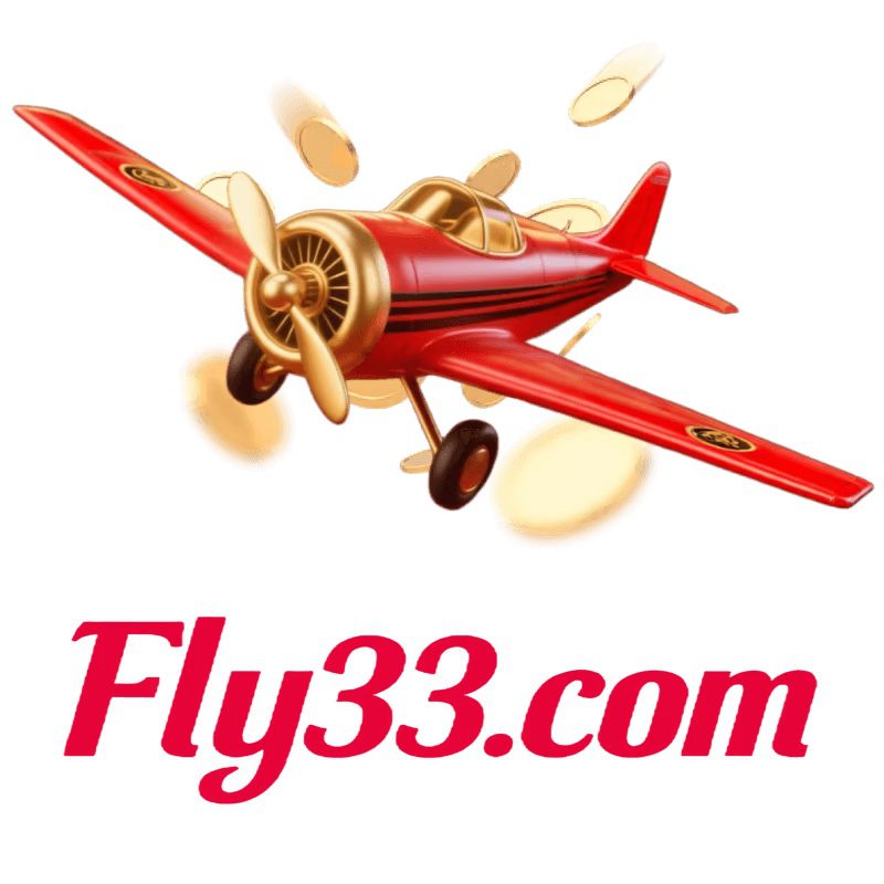 Fly33