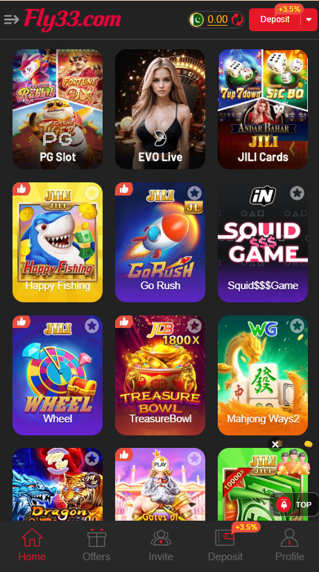 FLy33 Game Home Screen