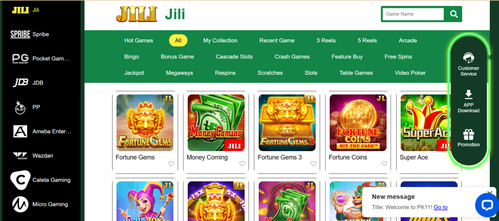PK11 Game Home Screen